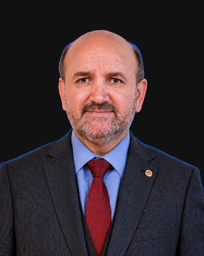 Prof. Mehmet Bulut